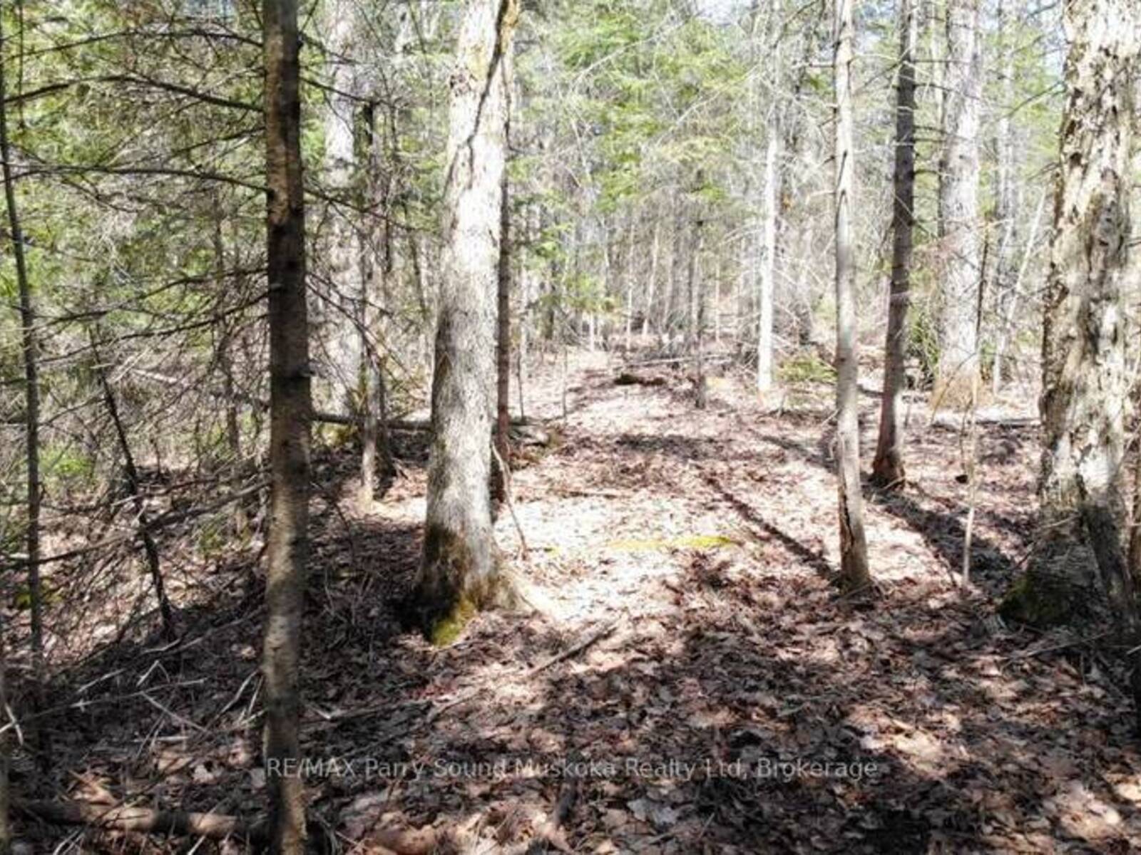 1025 520N HIGHWAY, Whitestone, Ontario P0A 1G0