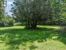 1745 INGOLDSBY ROAD | Minden Hills Ontario | Slide Image Thirty-one