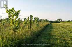 357065 THE BLUE MOUNTAINS MEAFORD TOWNLINE ROAD | Thornbury Ontario | Slide Image Eight