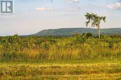 357065 THE BLUE MOUNTAINS MEAFORD TOWNLINE ROAD | Thornbury Ontario | Slide Image Nine