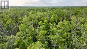 PT LT 27 CON 1 EBR PT 2 BARNEY'S BOULEVARD | Miller Lake Ontario | Slide Image Eleven
