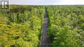PT LT 27 CON 1 EBR PT 2 BARNEY'S BOULEVARD | Miller Lake Ontario | Slide Image Twelve