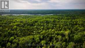 PT LT 27 CON 1 EBR PT 2 BARNEY'S BOULEVARD | Miller Lake Ontario | Slide Image Seventeen