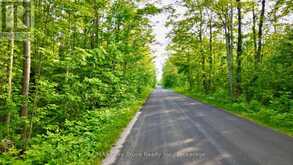 PT LT 27 CON 1 EBR PT 2 BARNEY'S BOULEVARD | Miller Lake Ontario | Slide Image Two