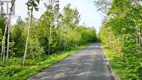 PT LT 27 CON 1 EBR PT 2 BARNEY'S BOULEVARD | Miller Lake Ontario | Slide Image Thirty