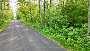 PT LT 27 CON 1 EBR PT 2 BARNEY'S BOULEVARD | Miller Lake Ontario | Slide Image Three