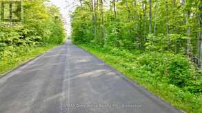 PT LT 27 CON 1 EBR PT 2 BARNEY'S BOULEVARD | Miller Lake Ontario | Slide Image Four