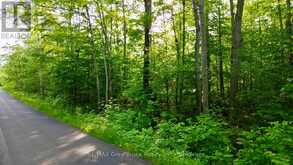 PT LT 27 CON 1 EBR PT 2 BARNEY'S BOULEVARD | Miller Lake Ontario | Slide Image Nine
