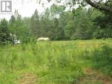 1060 BUTTERCUP DRIVE | Highlands East Ontario | Slide Image Nine