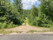 310 SUPER SIGN ROAD | Emsdale Ontario | Slide Image One