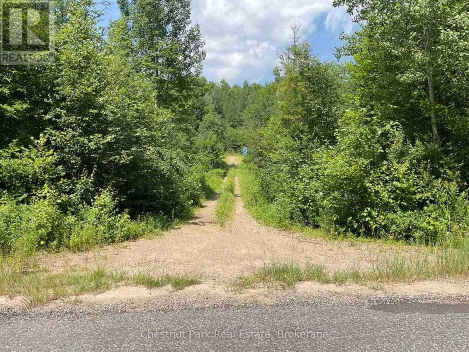 310 SUPER SIGN ROAD, Emsdale, Ontario P0A 1J0