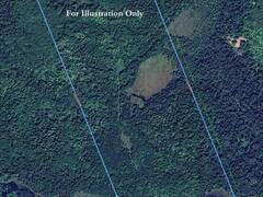310 SUPER SIGN ROAD Emsdale Ontario, P0A 1J0