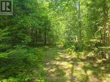 364 FORESTRY TOWER ROAD | Kearney Ontario | Slide Image Thirty-two