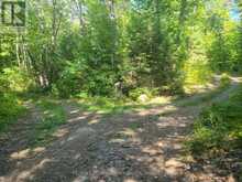364 FORESTRY TOWER ROAD | Kearney Ontario | Slide Image Thirty-seven