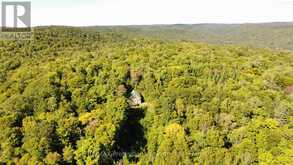 364 FORESTRY TOWER ROAD | Kearney Ontario | Slide Image Forty-nine