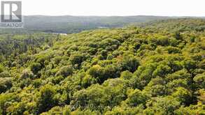 364 FORESTRY TOWER ROAD | Kearney Ontario | Slide Image Fifty