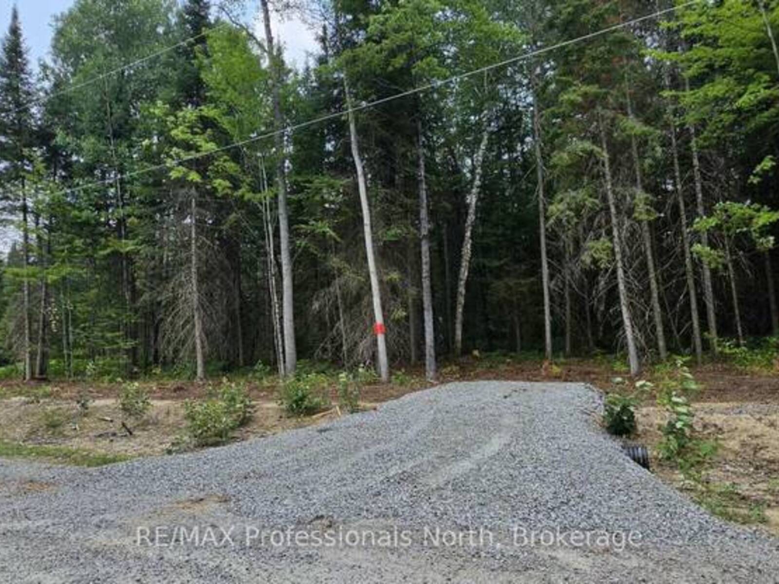 01 SALE ROAD, Dwight, Ontario P0A 1H0