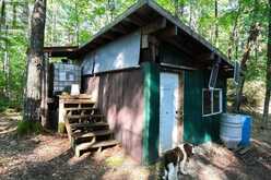 1132 IRISH LINE ROAD | Haliburton Ontario | Slide Image Forty-eight