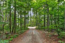 357 WHIP POOR WILL ROAD | French River Ontario | Slide Image Forty-two
