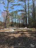 1765 GRAVENHURST PARKWAY | Gravenhurst Ontario | Slide Image Two