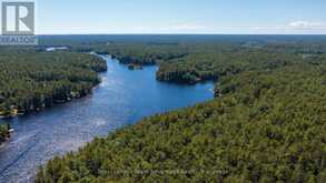 39 WOOD DUCK TRAIL | Pointe au Baril Ontario | Slide Image Twenty-eight