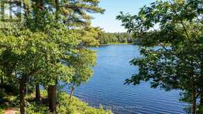 39 WOOD DUCK TRAIL | Pointe au Baril Ontario | Slide Image Thirty