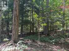 PL6 KENNAWAY ROAD | Haliburton Ontario | Slide Image Thirteen