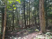 PL6 KENNAWAY ROAD | Haliburton Ontario | Slide Image Fourteen