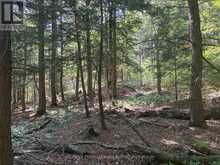 PL6 KENNAWAY ROAD | Haliburton Ontario | Slide Image Fifteen