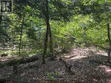 PL6 KENNAWAY ROAD | Haliburton Ontario | Slide Image Sixteen