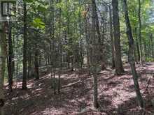 PL6 KENNAWAY ROAD | Haliburton Ontario | Slide Image Seventeen