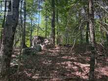 PL6 KENNAWAY ROAD | Haliburton Ontario | Slide Image Eighteen