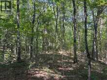 PL6 KENNAWAY ROAD | Haliburton Ontario | Slide Image Nineteen