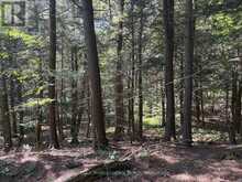PL6 KENNAWAY ROAD | Haliburton Ontario | Slide Image Twenty-four