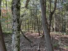 PL6 KENNAWAY ROAD | Haliburton Ontario | Slide Image Twenty-six