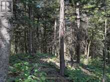 PL6 KENNAWAY ROAD | Haliburton Ontario | Slide Image Twenty-seven