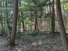PL6 KENNAWAY ROAD | Haliburton Ontario | Slide Image Twenty-eight