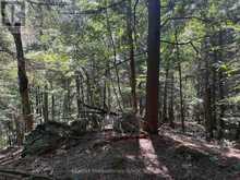 PL6 KENNAWAY ROAD | Haliburton Ontario | Slide Image Twenty-nine