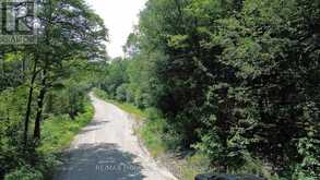 PL6 KENNAWAY ROAD | Haliburton Ontario | Slide Image Two