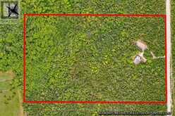 479 DYERS BAY ROAD | Miller Lake Ontario | Slide Image Fifty