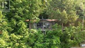 106 KAPIKOG SOUTH ROAD | Carling Ontario | Slide Image Two