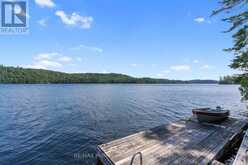 11047 LITTLE HAWK NORTH SHORE WAO | Haliburton Ontario | Slide Image Thirty-six