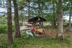 1 B277 ISLAND | MacTier Ontario | Slide Image Twenty-eight
