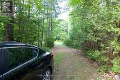 673 PENINSULA ROAD W | Gravenhurst Ontario | Slide Image Five