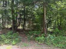 0 AXE LAKE ROAD | Machar Ontario | Slide Image Four