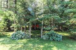 33 BIRCHWOOD TRAIL | Wasaga Beach Ontario | Slide Image Five