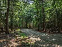 0 SOYERS LAKE ROAD | Haliburton Ontario | Slide Image Eleven