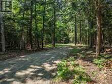 0 SOYERS LAKE ROAD | Haliburton Ontario | Slide Image Five