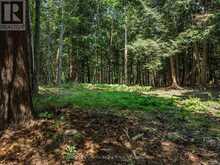 0 SOYERS LAKE ROAD | Haliburton Ontario | Slide Image Six