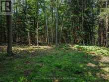 0 SOYERS LAKE ROAD | Haliburton Ontario | Slide Image Seven
